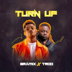 Bramix - Turn Up Ft. TROD